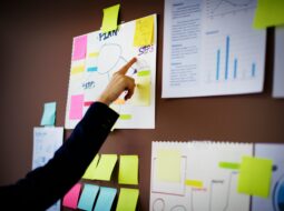 Steven Sarafian: Integrated Marketing Strategies